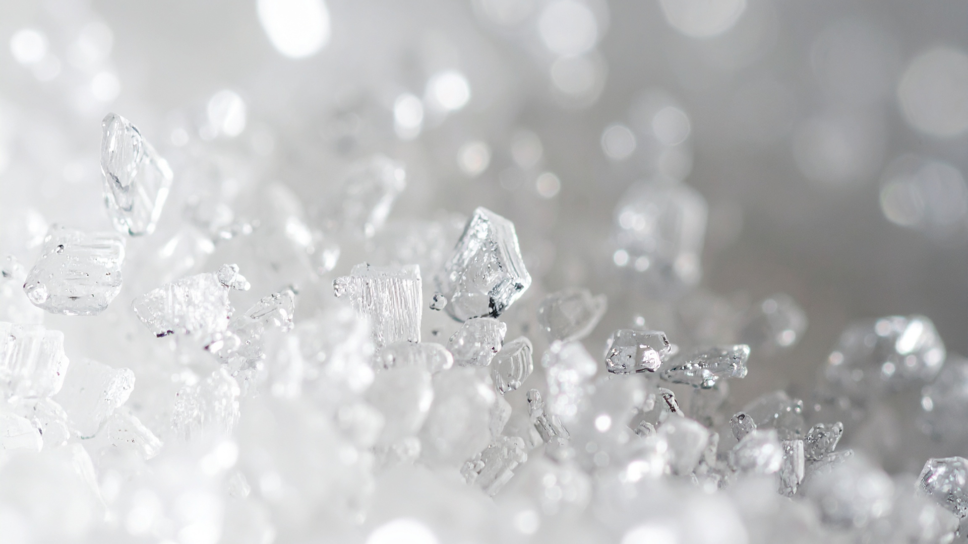 Sucrose for Food Industry